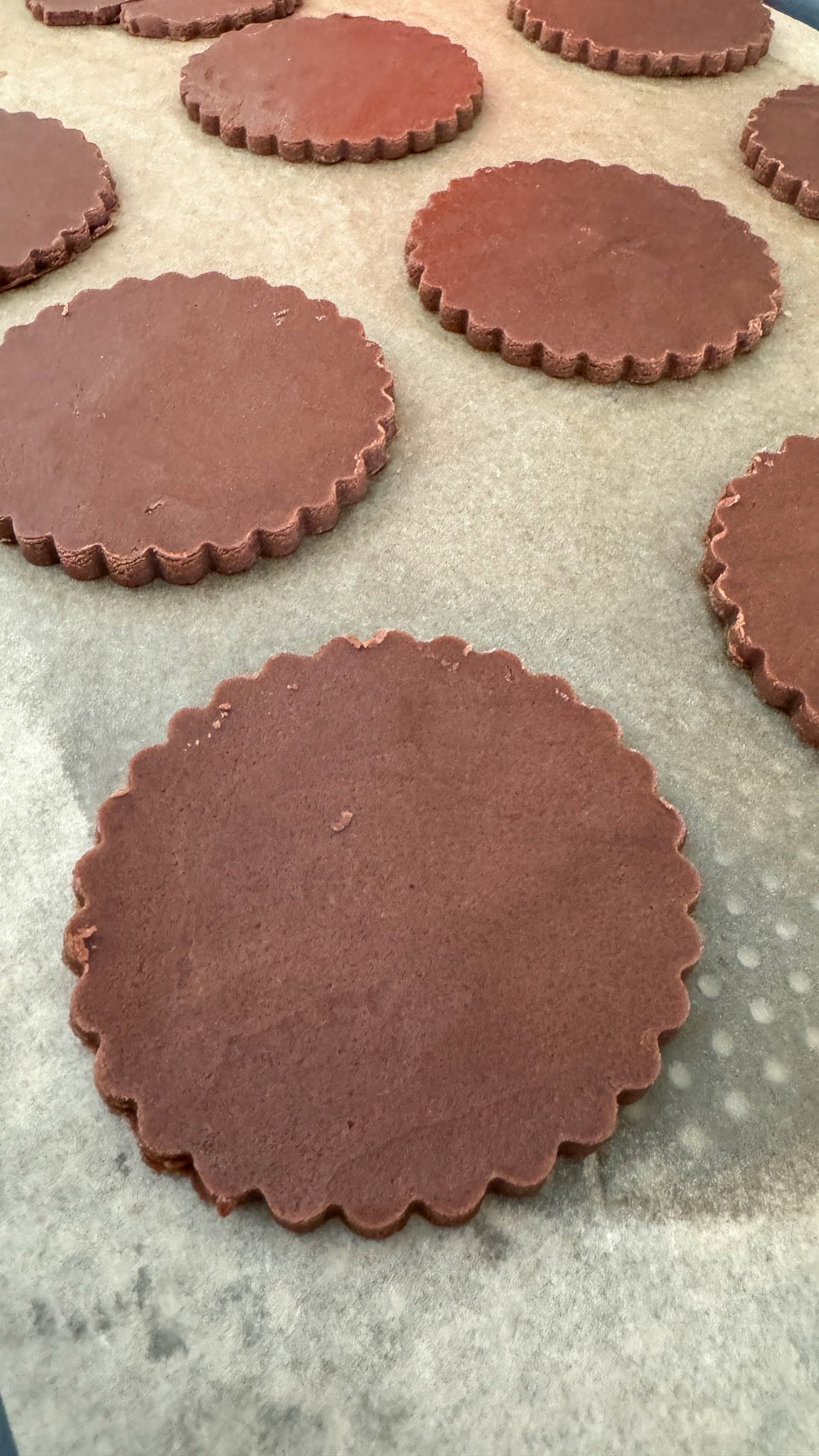 Chocolate Shortbread Cookies 